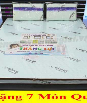 NỆM CAO SU HOẠT TÍNH THẮNG LỢI