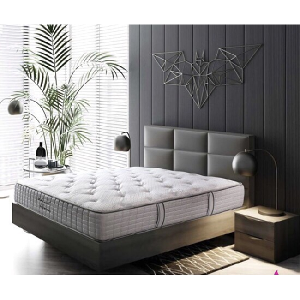 NỆM BÔNG SÔNG HỒNG CAO CẤP BACK ESSENTIAL