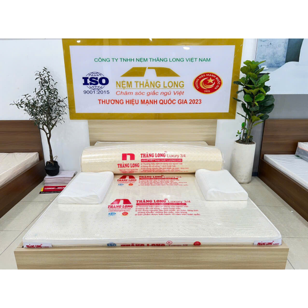 NỆM Cao Su Thiên Nhiên THĂNG LONG 3/4