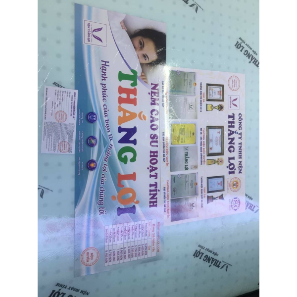 NỆM CAO SU HOẠT TÍNH THẮNG LỢI