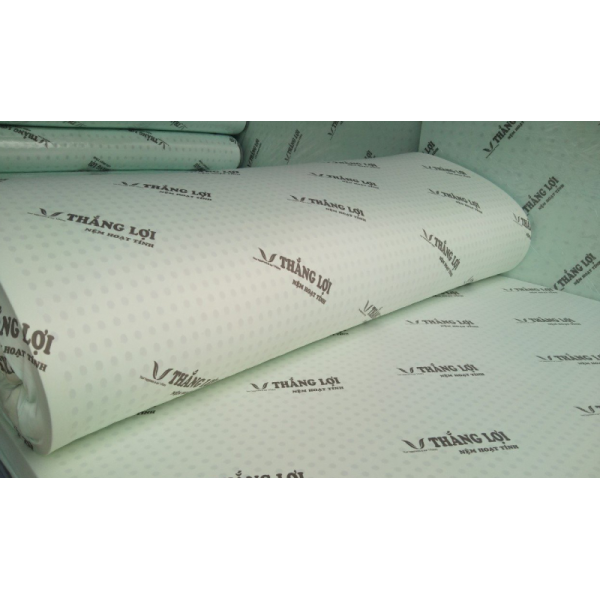 NỆM CAO SU HOẠT TÍNH THẮNG LỢI