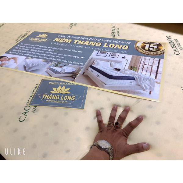 Nệm Cao Su Non American