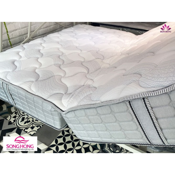 NỆM BÔNG SÔNG HỒNG CAO CẤP BACK ESSENTIAL