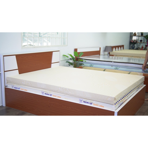 NỆM CAO SU GOLDLATEX THẮNG LỢI