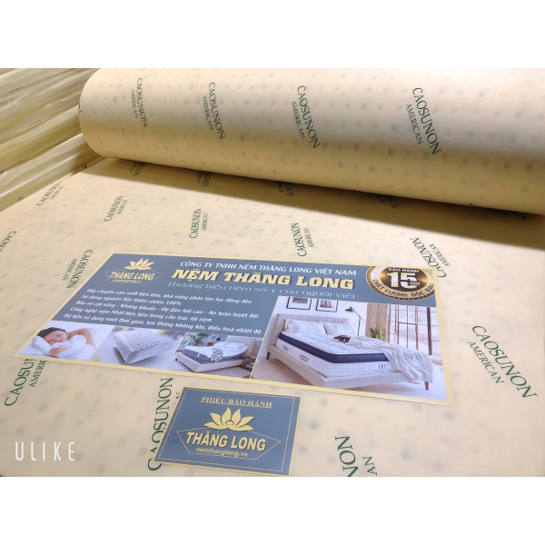 Nệm Cao Su Non American