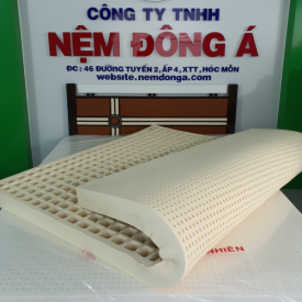 NỆM CAO SU THIÊN NHIÊN ĐÔNG Á 100%