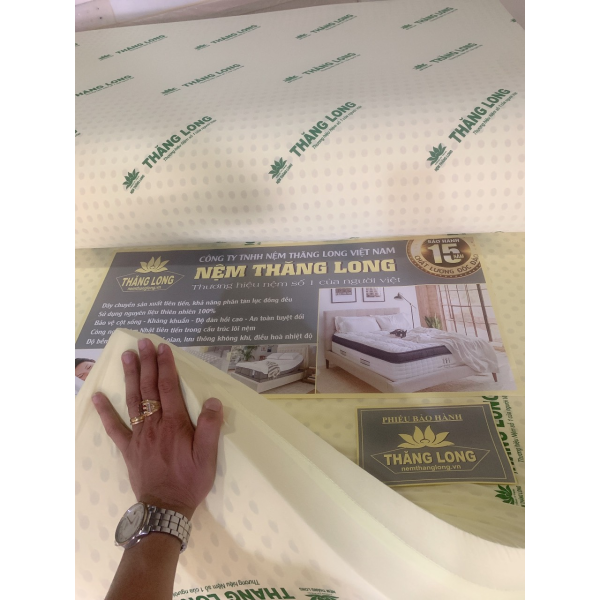 NỆM THĂNG LONG CLASSIC