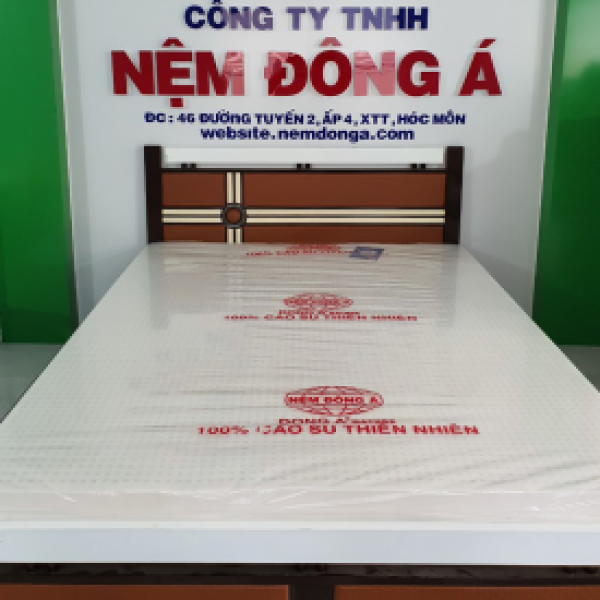 NỆM CAO SU THIÊN NHIÊN ĐÔNG Á 100%