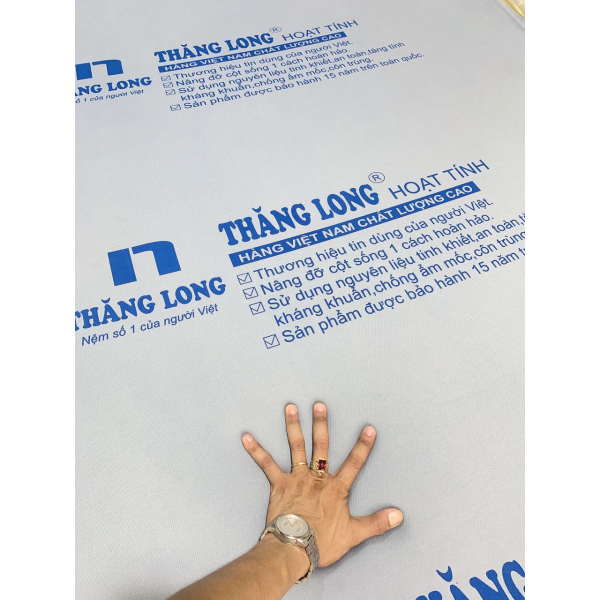 NỆM THĂNG LONG HOẠT TÍNH